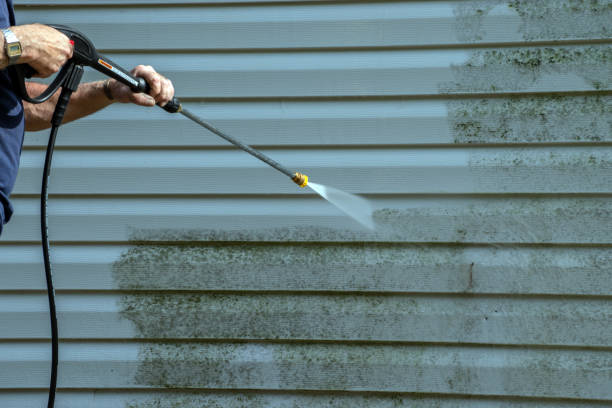 Pressure Washing Contractors in Federalsburg, MD