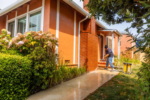 Best House Pressure Washing  in Federalsburg, MD