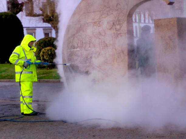 Best Affordable Power Washing  in Federalsburg, MD